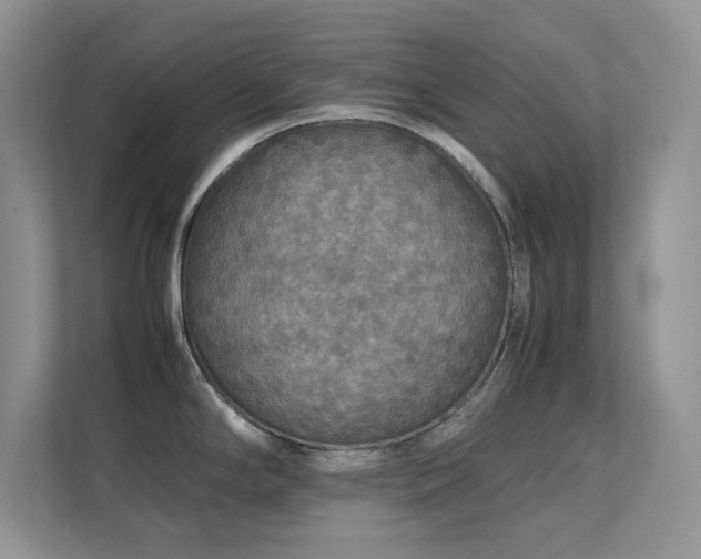 X0000112151294200908071108