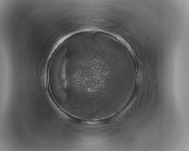 X0000112151295200908071108