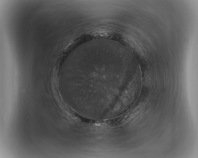 X0000112151297200908071108