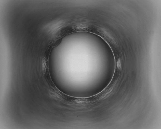 X0000112151299200908071108
