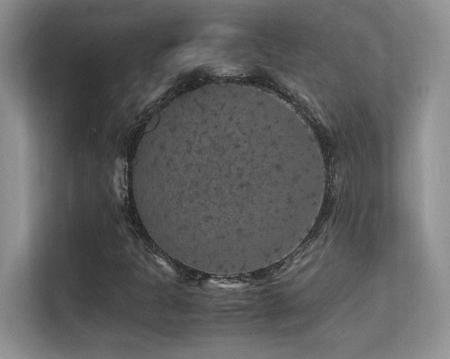 X0000112151301200908071108