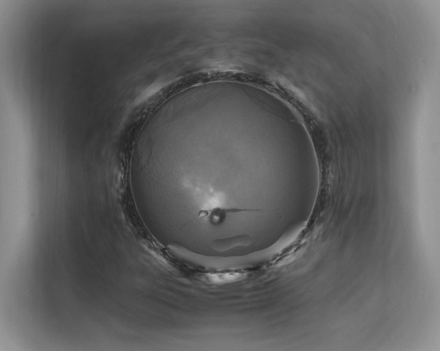 X0000112151303200908071108
