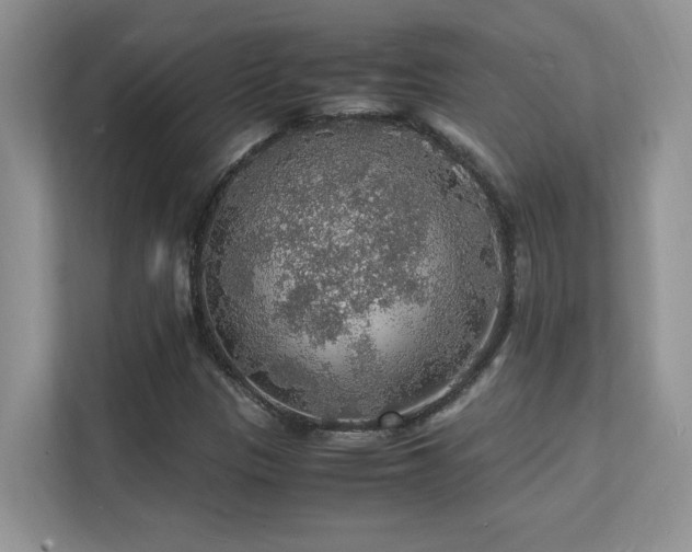 X0000112151305200908071108