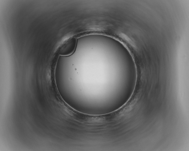 X0000112151307200908071108