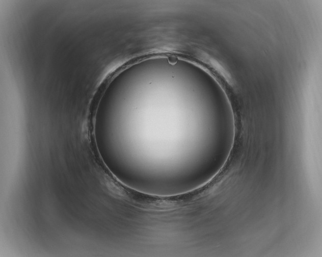 X0000112151308200908071108