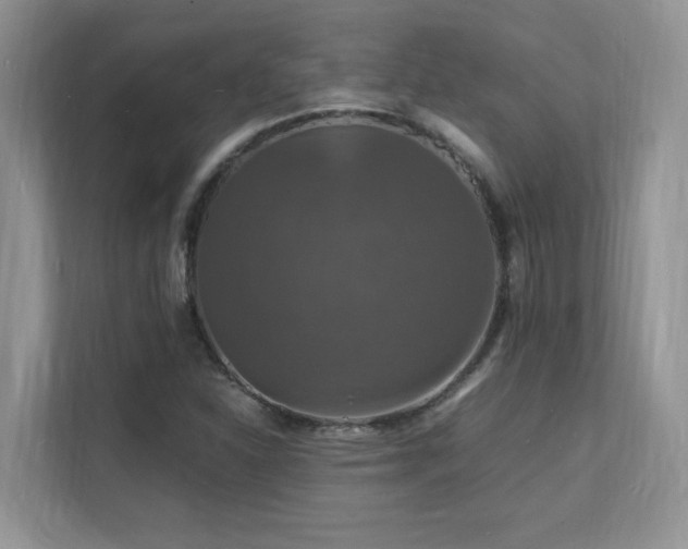 X0000112151310200908071108