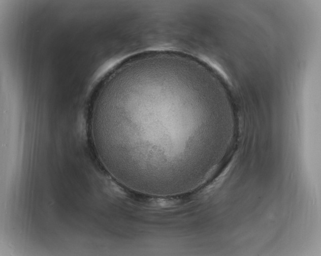 X0000112151311200908071108