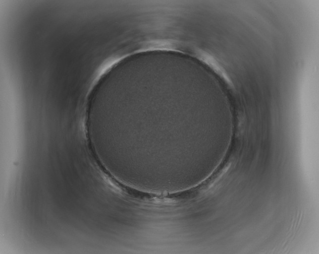 X0000112151312200908071108