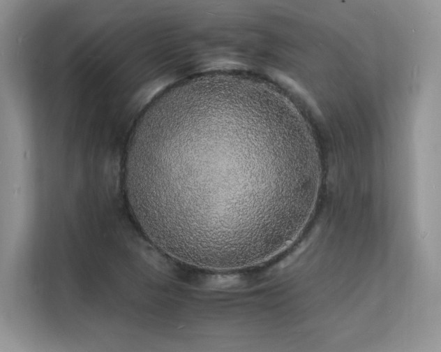 X0000112151313200908071108