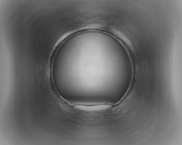 X0000112151316200908071108