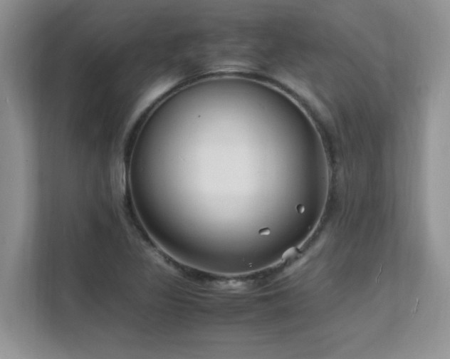 X0000112151317200908071108