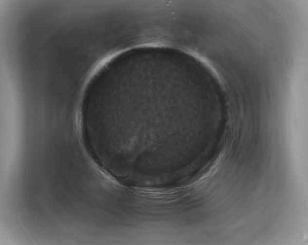 X0000112151319200908071108