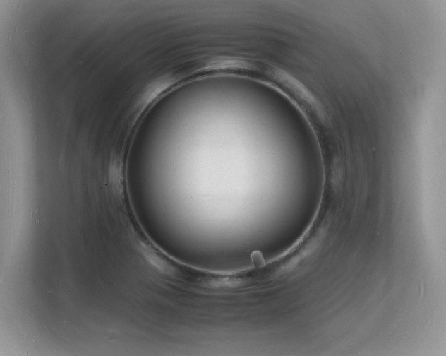 X0000112151321200908071108