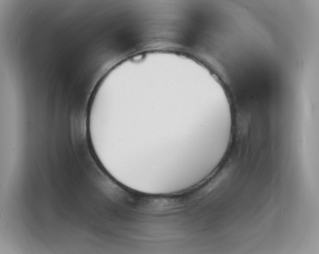 X0000112151322200908071108