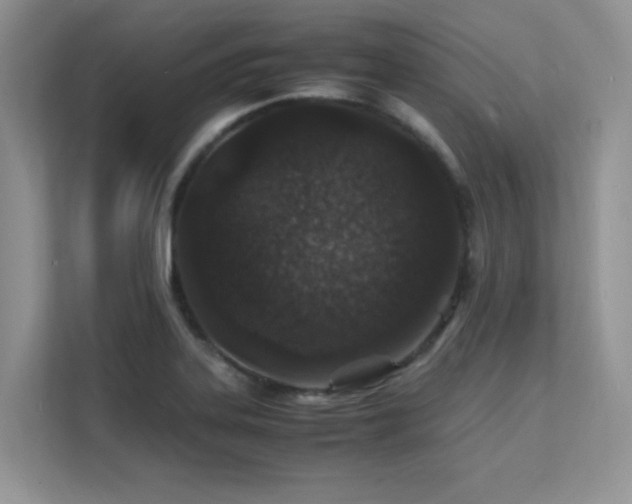 X0000112151323200908071108