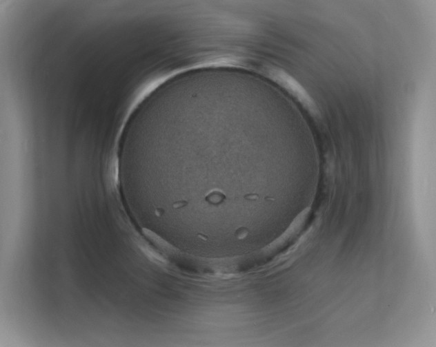 X0000112151324200908071108