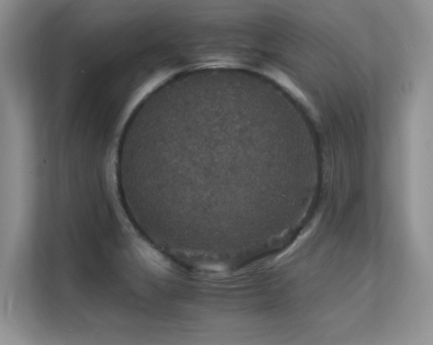 X0000112151325200908071108