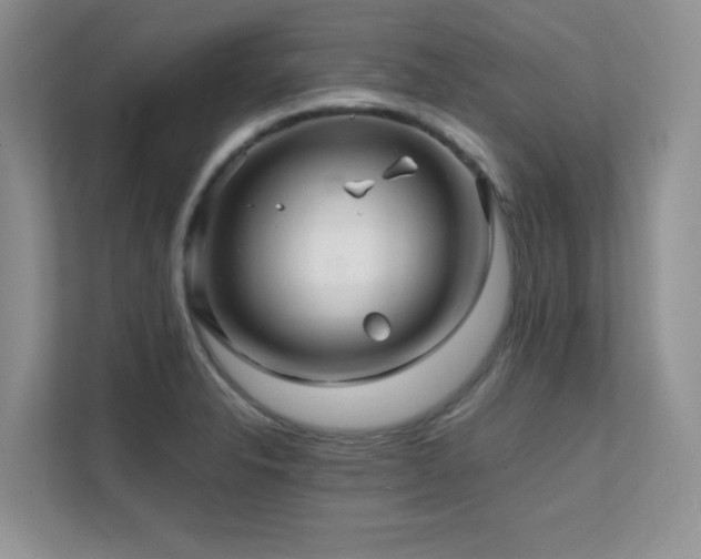 X0000112151326200908071108