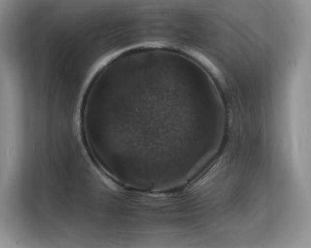 X0000112151327200908071108