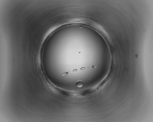 X0000112151328200908071108