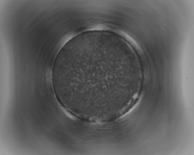 X0000112151329200908071108
