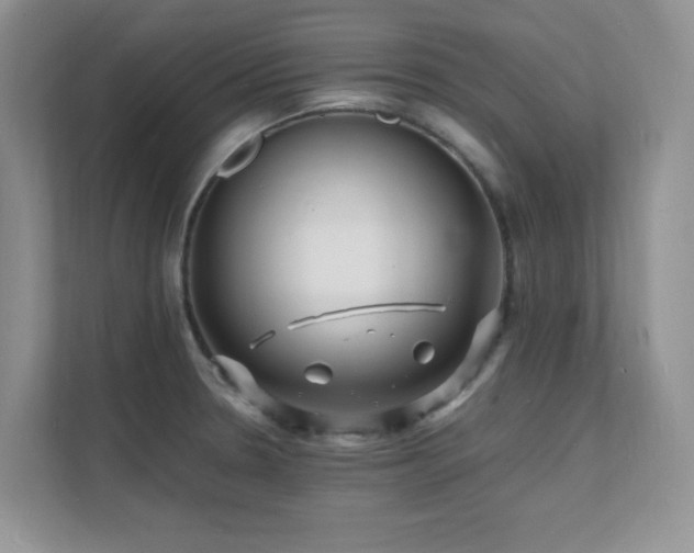 X0000112151330200908071108