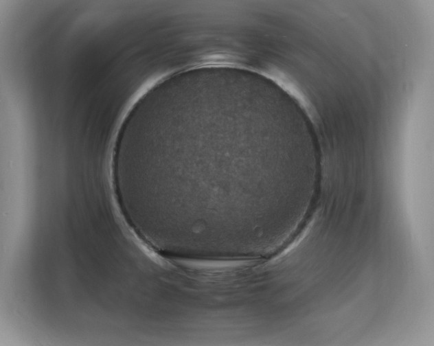 X0000112151333200908071108