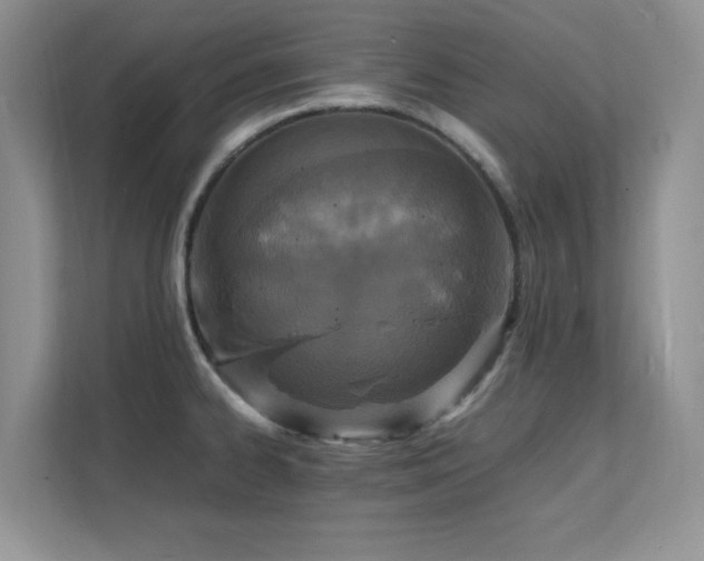X0000112151334200908071108