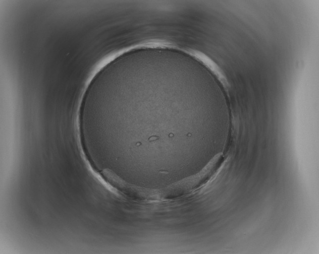 X0000112151335200908071108