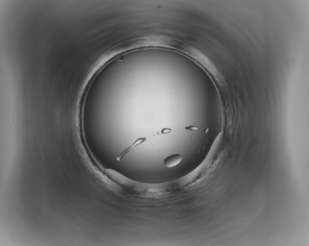 X0000112151339200908071108