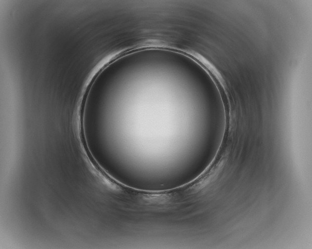 X0000112151341200908071108