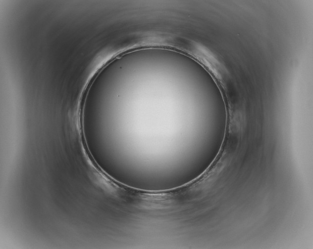 X0000112151342200908071108