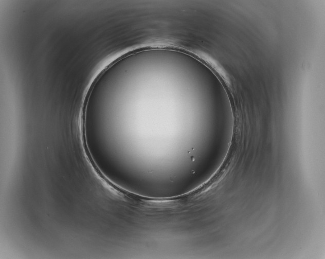 X0000112151343200908071108