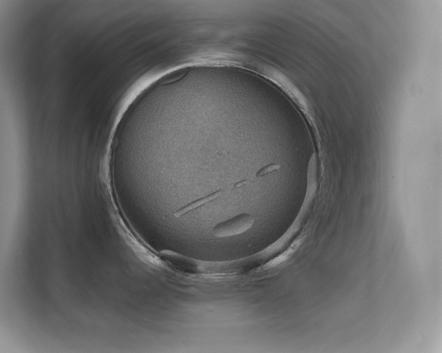 X0000112151344200908071108