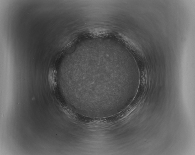 X0000112151346200908071108