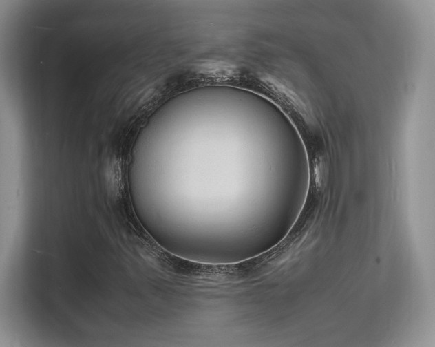X0000112151347200908071108