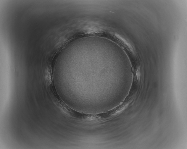 X0000112151348200908071108