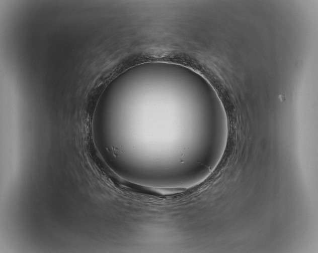 X0000112151349200908071108