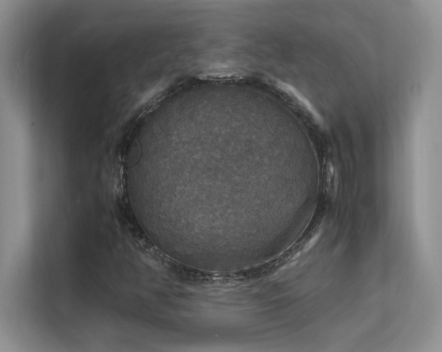 X0000112151350200908071108