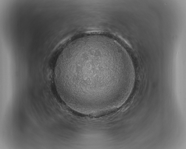 X0000112151351200908071108