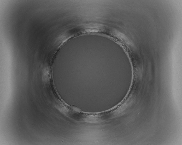 X0000112151353200908071108
