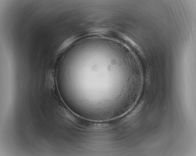 X0000112151354200908071108