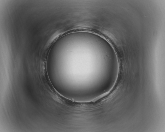 X0000112151355200908071108