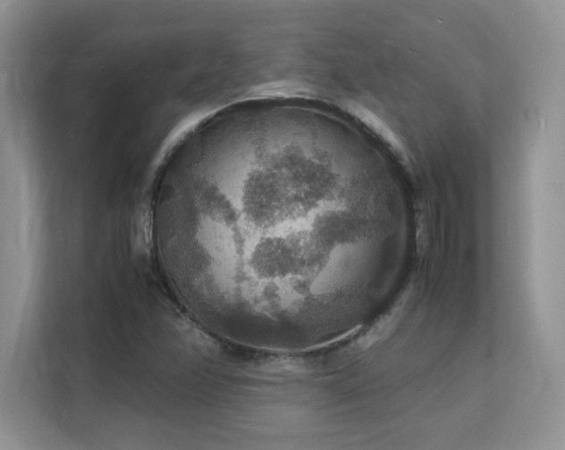 X0000112151358200908071107