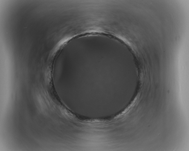 X0000112151359200908071107