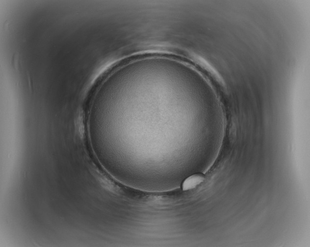 X0000112151360200908071107