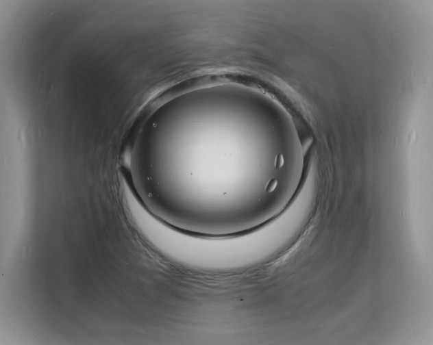 X0000112151361200908071107