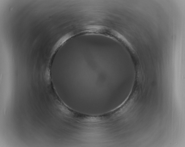 X0000112151362200908071107