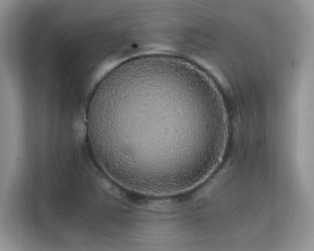 X0000112151363200908071107