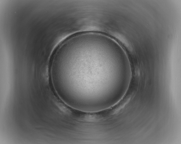 X0000112151364200908071107